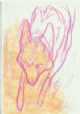 Immagine di Le_renard
