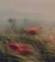 Immagine di Elizabeth Mist
