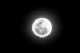Immagine di Poeta della luna