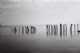 Immagine di Ols
