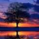 Immagine di JODY55