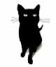 Immagine di OmbraFelina