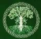 Immagine di Anima Lieve